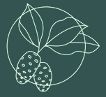 Nasze zobowiązanie wobec wspólnego domu to nasza miłość do planety.